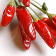 chili.jpg