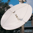 dish.jpg